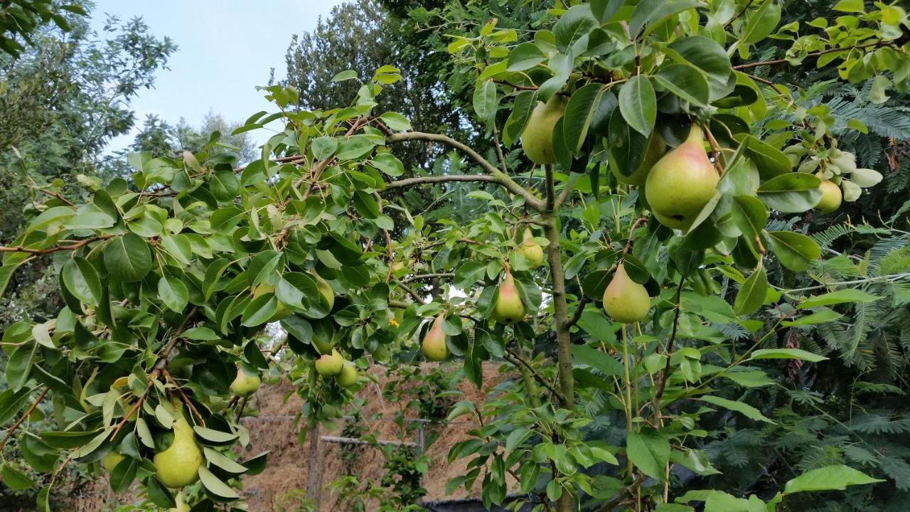 Pensjonat Casa Valxisto Penafiel Zewnętrze zdjęcie